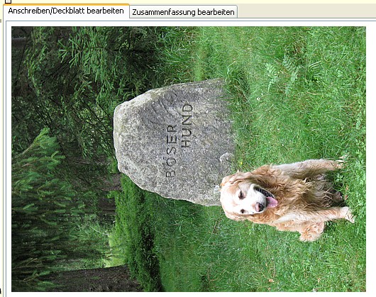 Supportanfrage Gutachten mit hochauflösende Bildern