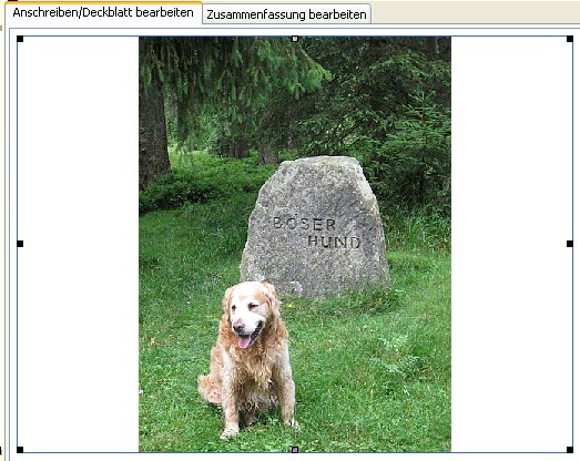 Supportanfrage Gutachten mit hochauflösende Bildern