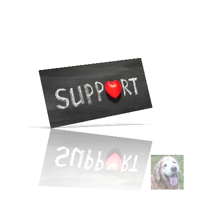 Was muss ich tun, um hier Support zu bekommen?